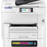 Epson EM-C8101RDW